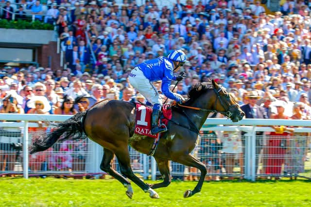 Battaash at Goodwood Racecourse