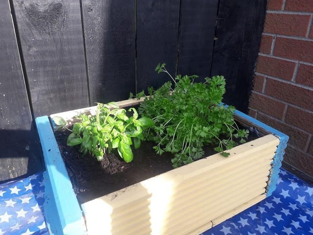 Orlaith Parkhill: "Weans made and painted a herb box".