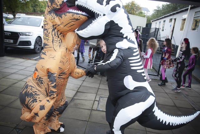 Dinosaurs wrestle at Hollybush this week in the shape of P5 pupils Alana and Niamh.