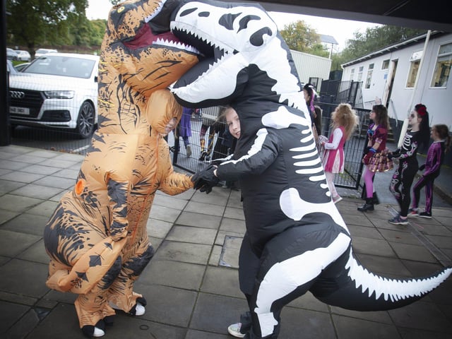 Dinosaurs wrestle at Hollybush this week in the shape of P5 pupils Alana and Niamh.