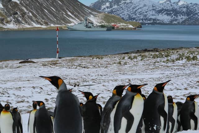 HMS Forth's crew had the opportunity to snap some of the wildlife in South Georgia. Photo: Royal Navy