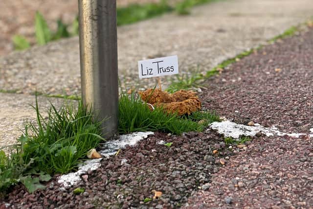 Mr Browne said his protest highlights what he says is the 'poo-ey' situation the Prime Minister has landed the country in. Picture: Ben Mitchell/PA Wire.