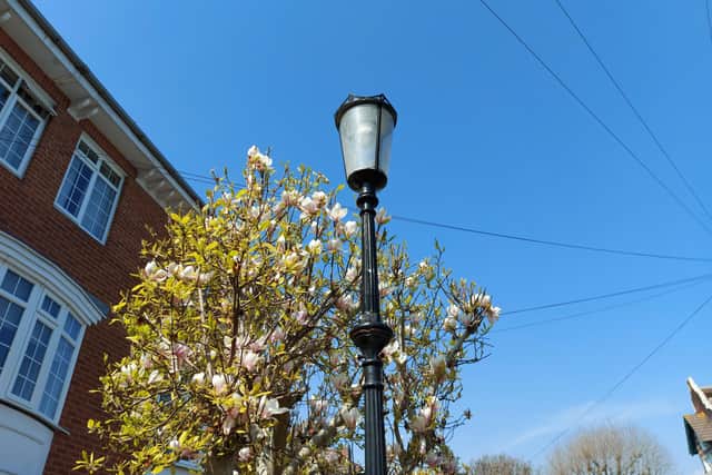 An example of a cylindrical street light that is set to be replaced in Queens Grove in Southsea