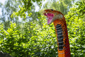 Marwell Zoo welcomes new SUPERSIZED! arrivals ahead of reopening