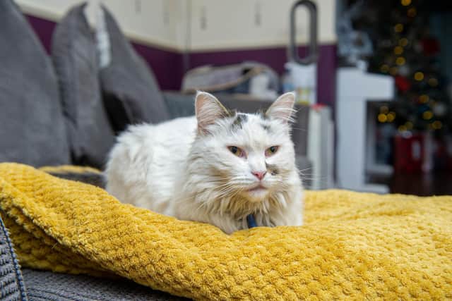 Presley at his home in Tipner, Portsmouth on Thursday 23 December 2021

Picture: Habibur Rahman