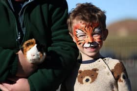 Half term farm visiting Fort Nelson in Portsmouth, Hampshire.

Pictured is Joshua Hungerford, 5, with Guinea Pig. 

Monday 12th February 2024.

Picture: Sam Stephenson.