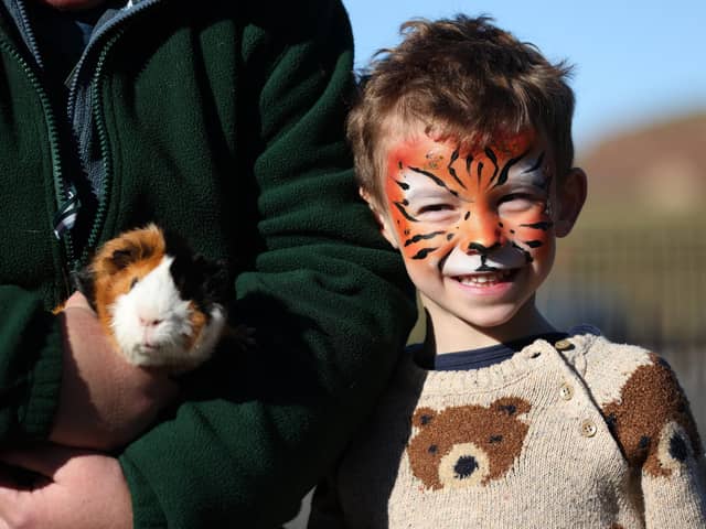 Half term farm visiting Fort Nelson in Portsmouth, Hampshire.

Pictured is Joshua Hungerford, 5, with Guinea Pig. 

Monday 12th February 2024.

Picture: Sam Stephenson.