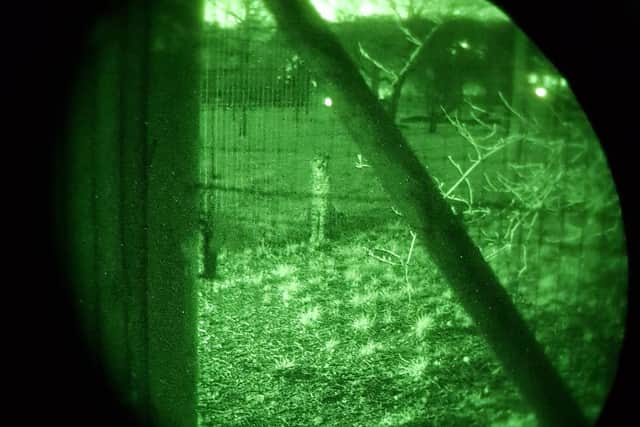 This image was taken by an ARV officer using night vision during the police search of Marwell and shows one of the resident Marwell cheetahs