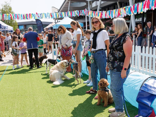 Dogs and their owners get ready to perform. Picture:Marcin Jedrysiak