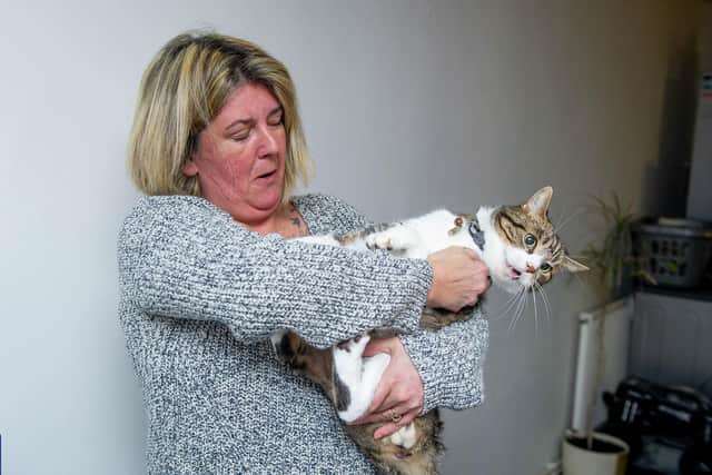 Donna Pinnock's cat Rocky was pinned down and shaved by yobs in Hilsea.

Picture: Habibur Rahman