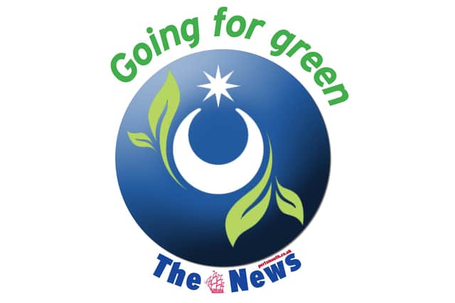 Going for Green logo 

Climate environment campaign launched by The News March 2021 in conjunction with Portsmouth Climate Action Board 