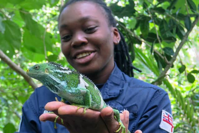 A sailor from HMS Spey gets to grip with an iguana