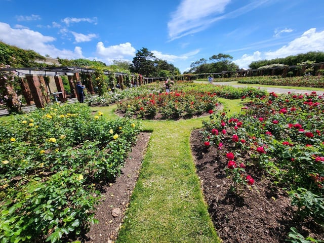 Rose Gardens
