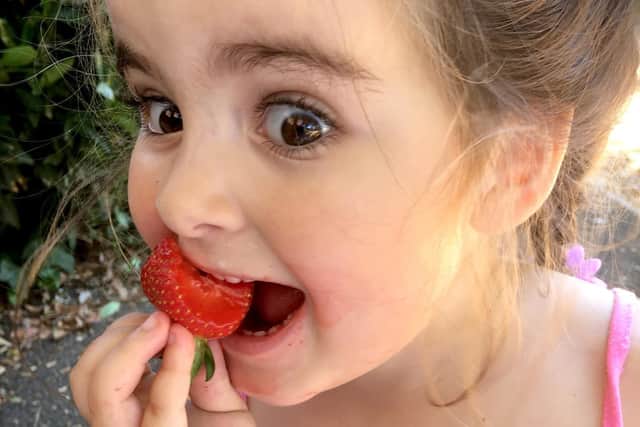 Winner of One Summer's Day 2018 Tilly Lyons eating strawberries in the park. Picture: Kate Toman 