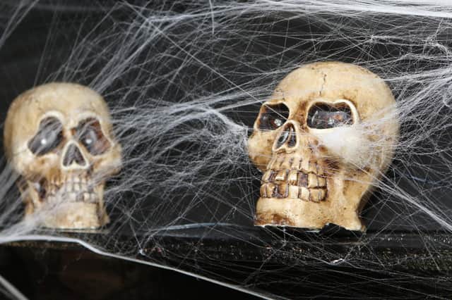 Halloween is around the corner and there's many activities going on in Hampshire.