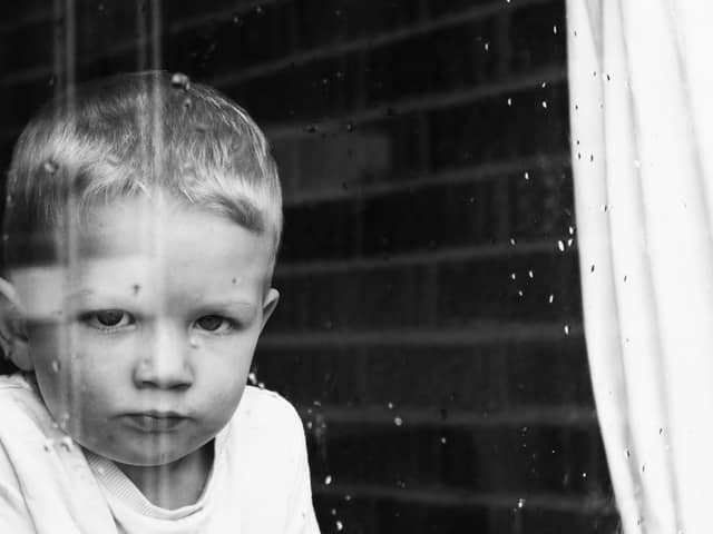 Hollie Long encapsulates lockdown with her image, Finn in Window.