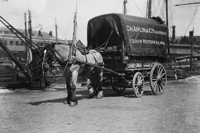 A horsedrawn cart owned by Chaplin & Co, carriers for the South Western Railway, at Portsmouth, circa 1900. (Photo by F. J. Mortimer/Hulton Archive/Getty Images)
