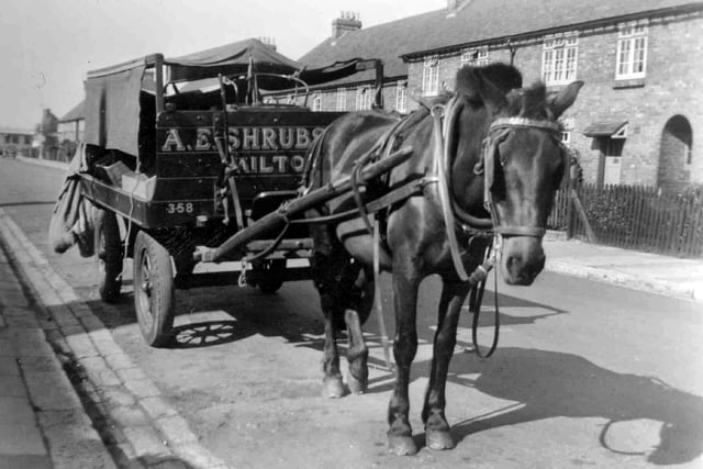 The horse and cart belonging to Arthur Edward Shrubsole, or 'Ted' as he was known. Here we see his fruit and veg cart in Crofton Road, Milton. He delivered around the Milton area between 1935-55.