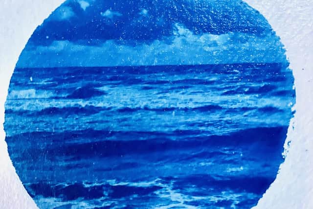 A cyanotype print by Ali Warner.