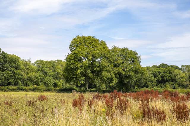 Berewood Nature Reserve