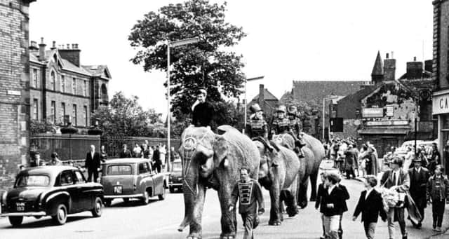 Elephants walking past the old Royal Hospital in Chesterfield in the 1960s.
