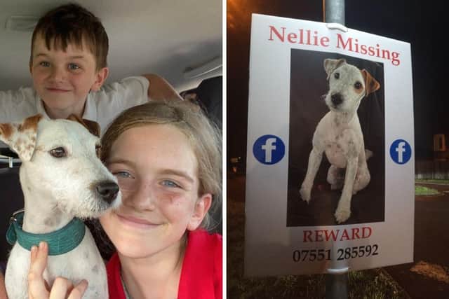 Suzi Rishworth said that her two children, aged 7 and 11, are 'devastated' by the loss of family pet Nellie.