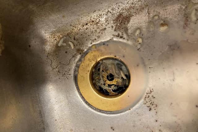 Pictures taken at The Wonderful Chinese, Copnor Road, on July 28 by Portsmouth City Council's environmental health team who took action.Dirty sink plug hole