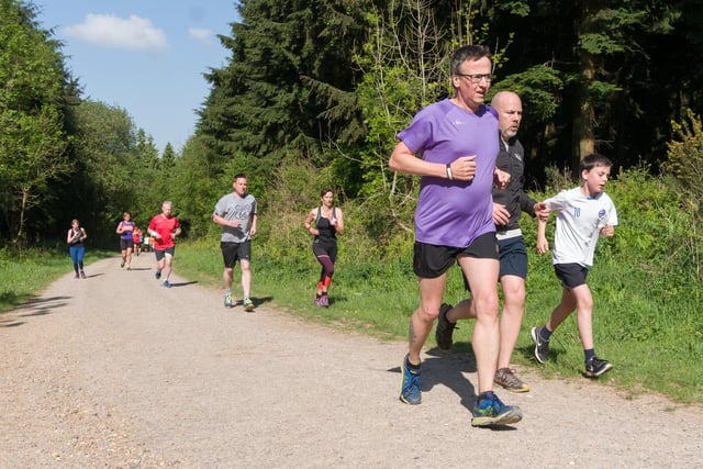 Queen Elizabeth Country Park offers a number of routes and variations. Whether you are looking to do a 7.7km circular of the park or stick to the paths within the park, it can be challenging due to the hills.