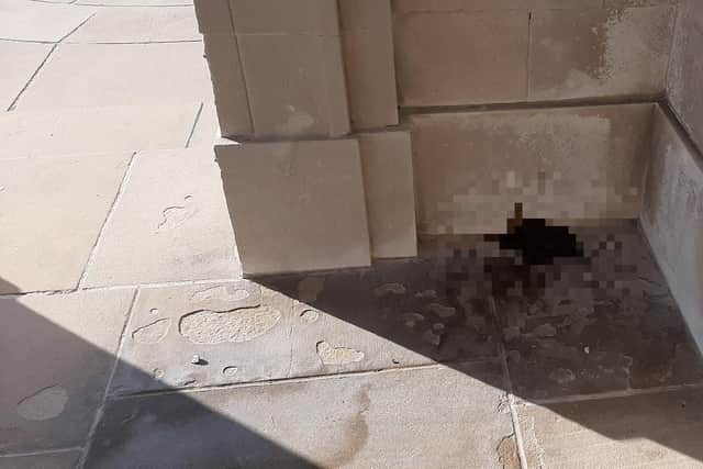 The faeces left at Portsmouth Naval Memorial ahead of the commemoration of VJ Day.