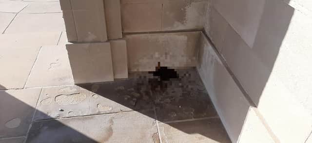 The faeces left at Portsmouth Naval Memorial ahead of the commemoration of VJ Day.