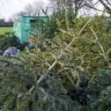 Christmas trees are left at a collection point in Reading, Berkshire, for recycling on January 7, 2022. Picture: Steve Parsons/PA Wire