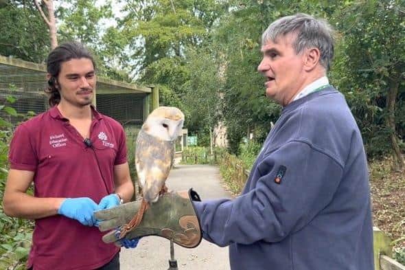 Tony Edge, 67, of Drayton, Portsmouth take a barn owl for a walk at Tilgate Nature Centre in Crawley.