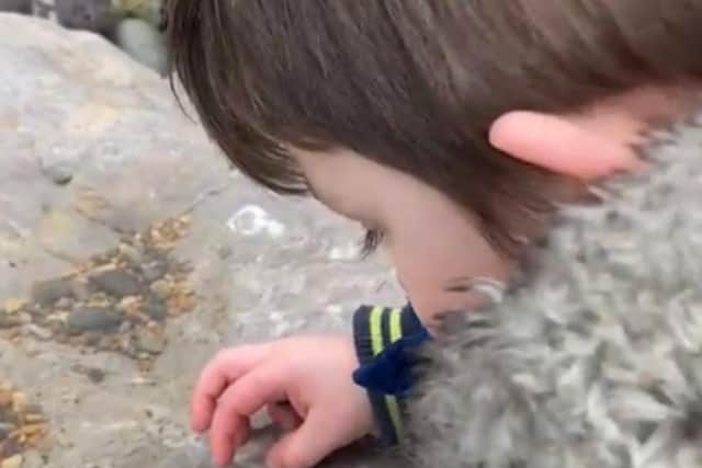 Five year old Freddy loves going to the beach and counting shells