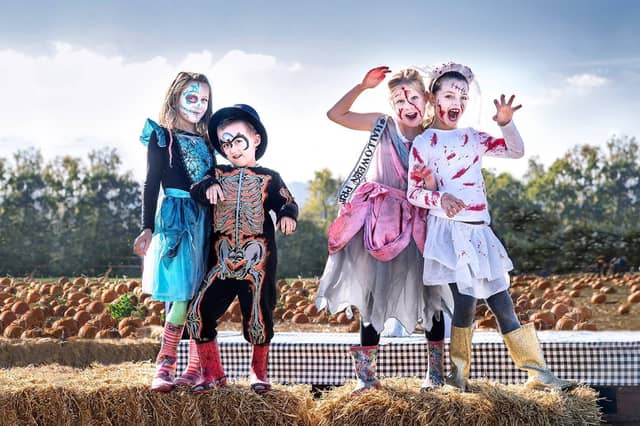 Rogate Pumpkin Patch is back with its jam-packed Halloween extravaganza.
Aiming to provide a memorable day out for all ages – and plenty of photo opportunities – attractions at the site near Petersfield include the spooky sunflower trail and games such as pumpkin skittles and a pumpkin shy.
With street food vendors and a Spooky Shop, there’s plenty to keep the whole family entertained.
Pre-booked tickets are required and cost £5 each, with children under-two free.
For more, visit rogatepumpkinpatch.com