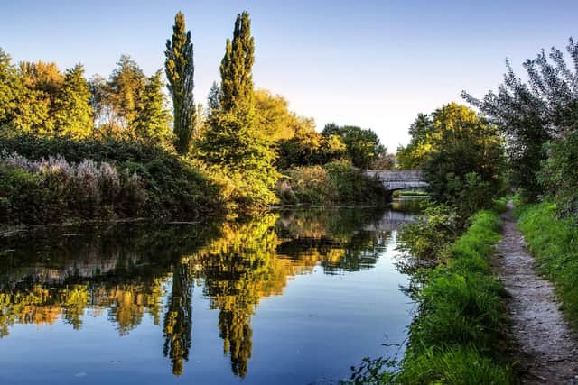 River Itchen - pictured at Cheriton - is an environmental treasure - but at risk from rising water needs across the region. Picture: SDNPA/Sam Moore