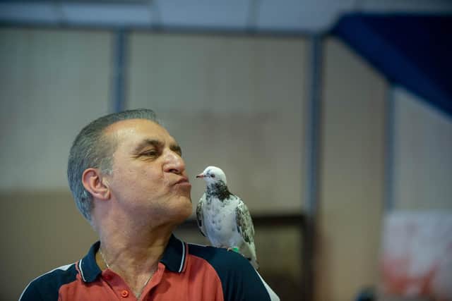 Navid Assar with Petra the pigeon 
Picture: Habibur Rahman