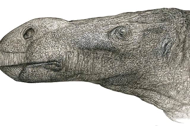 An illustration issued by the University of Portsmouth of a new species of dinosaur with an unusually large nose, named Brighstoneus simmondsi, which was discovered by retired GP Jeremy Lockwood. Photo: John Sibbick/University of Portsmouth/PA Wire