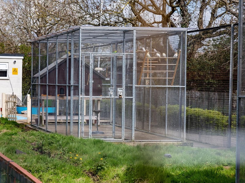 The aviary at College Park. Picture: Mike Cooter (06042023)