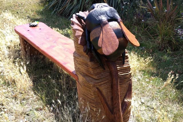 A series of hand-carved wooden sculptures made from storm-damaged trees are being placed at Canoe Lake in Portsmouth. Credit: Councillor John Smith