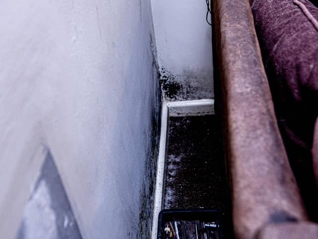 Mould behind a sofa at a home in Portsmouth
Picture: Habibur Rahman