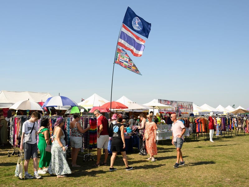 Pictured is: Visitors and stalls at the festival
Picture: Keith Woodland