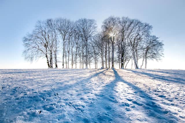 Cheesefoot Head in Winter by Ron De'Ath Highly Commended in the South Downs National Park Photo Competition, 2021