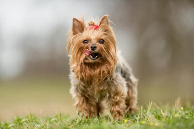 Picture: Shutterstock