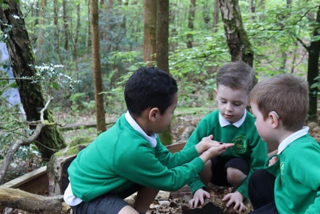 Woodlea pupils