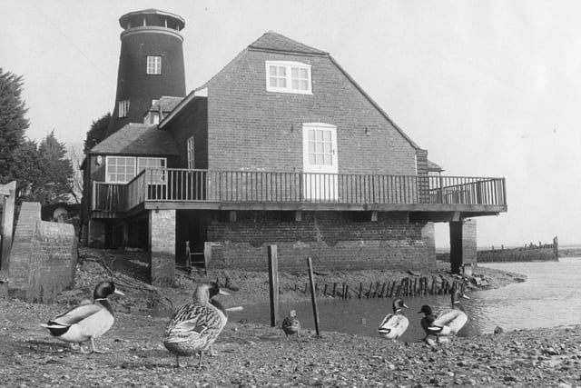 The local wildlife outside the Old Mill, Langstone in 1974. The News PP4897