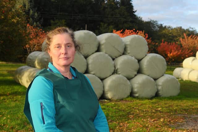 McCarthy's farm in Winchester Road, Wickham, saw 150 haylage bales destroyed in a suspected arson attack on June 17 with firefighters tackling the blast for two hours. 

Pictured is: Co-owner of McCarthy's Tracy McCarthy on October 20 after she spoke about the aftermath.

Picture: Sarah Standing (201020-6099)