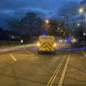 Pub landord Jason Eaton said police, an ambulance and tree surgeons were called to the scene Picture: Edward Rose