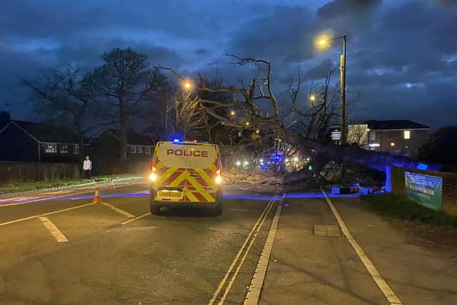 Pub landord Jason Eaton said police, an ambulance and tree surgeons were called to the scene Picture: Edward Rose
