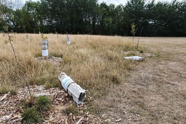 Damage done to the D-Day Memorial Copse at Port Solent. Picture: Habibur Rahman