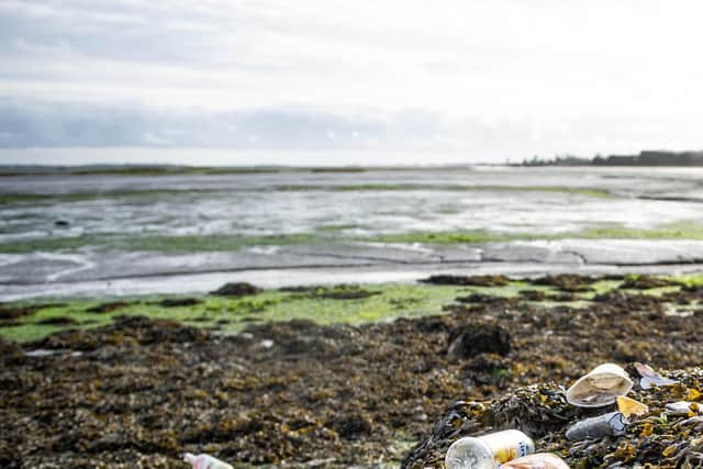 Farlington Marshes. Picture: Habibur Rahman